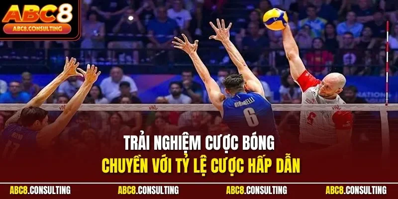 Trải nghiệm cược bóng chuyền với tỷ lệ cược hấp dẫn